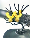 Oxidize Earrings